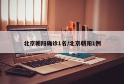 北京朝阳确诊1名/北京朝阳1例