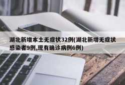 湖北新增本土无症状32例(湖北新增无症状感染者9例,现有确诊病例6例)